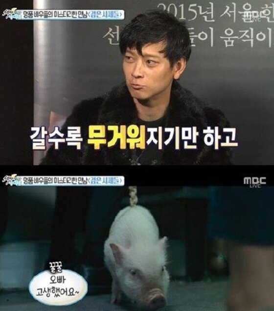 본문 이미지 - 강동원이 극중 등장하는 돼지 돈돈이와의 호흡에 대해 전했다.ⓒ News1star/MBC