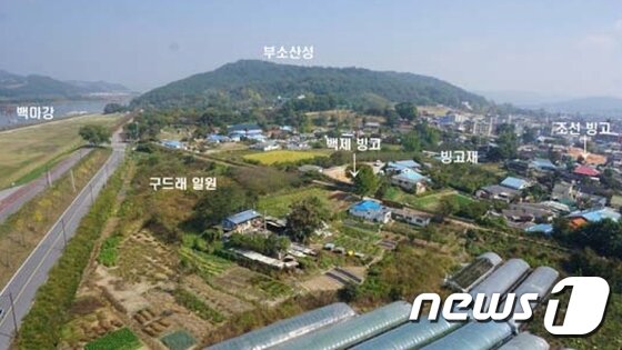 본문 이미지 - 부여 빙고 발굴지역  전경ⓒ News1