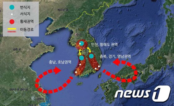 본문 이미지 - 황새 방사 권역. ⓒ News1