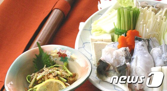 본문 이미지 - 르네상스 서울호텔의 일식당 이로도리에서 깔끔하고 정갈한 맛이 일품인 다양한 복요리를 맛볼 수 있다. 사진 제공/ 르네상스 서울 호텔ⓒ News1