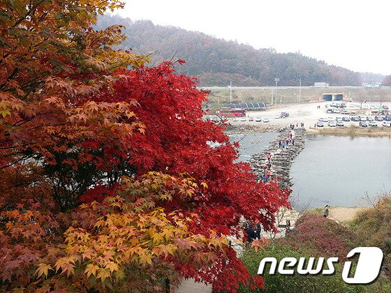 본문 이미지 - 가을 단풍이 붉게 물든 진천 농다리. ⓒ News1