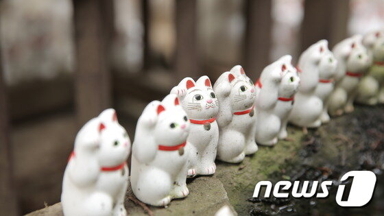 본문 이미지 - 먹거리, 즐길 거리 모두 모인 일본 도쿄에서 그동안의 스트레스를 풀어보자. 사진 제공/ 여행박사 ⓒ News1