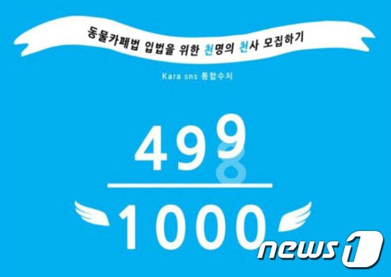 본문 이미지 - 동물보호단체 카라(대표 임순례)는 '동물카페법(동물보호법 일부 개정안)' 입법을 위한 '동물을 위한 1000명의 천사' 캠페인을 진행중이다. 14일 현재 499명의 천사들이 참여 의사를 밝혔다.ⓒ News1