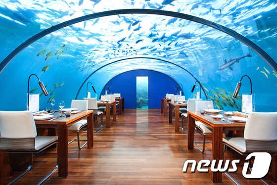 본문 이미지 - 이타 해저 레스토랑의 모습. 사진 제공/ 허니문 리조트 ⓒ News1