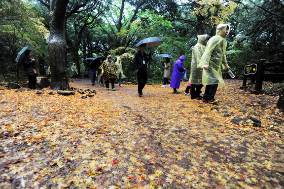 [오늘의 날씨] 제주(9일, 일)…오전까지 가끔 비