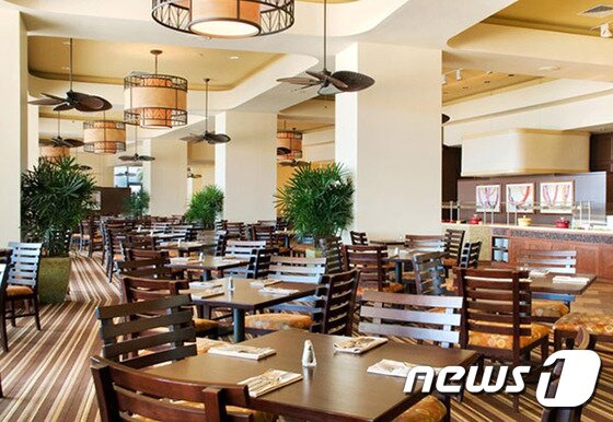 본문 이미지 - 카이 마켓은 '농가에서 식탁까지' 콘셉트로 가장 신선한 재료로 만든 요리를 맛볼 수 있다. 사진 제공/ 허니문리조트 ⓒ News1