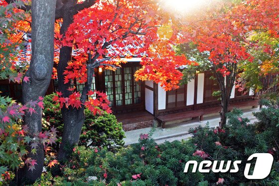 본문 이미지 - 별당으로 가는 오솔길에서 내려다본 안채의 뒷모습이다. 사진/ 사효진 기자 ⓒ News1