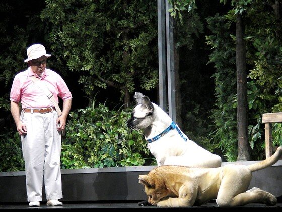 본문 이미지 - 연극 '해변의 카프카' 공연장면 ⓒ News1