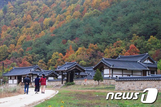 본문 이미지 - 붉게 물든 건지산 아래의 고택들 앞으로 한 가족이 걷고 있다. 600여 년의 역사를 가진 농암종택을 지켜온 종손의 삶의 무게가 느껴지는 듯하다. ⓒ News1 사효진 기자