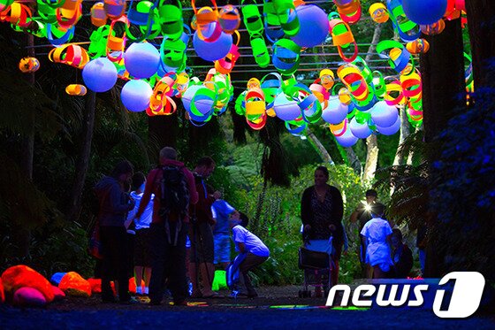 본문 이미지 - 5km의 전선으로 이뤄진 1천여 개의 전등이 장식될 예정인 'TSB 뱅크 전등 축제'. 사진 제공/ 뉴질랜드 관광청 ⓒ News1