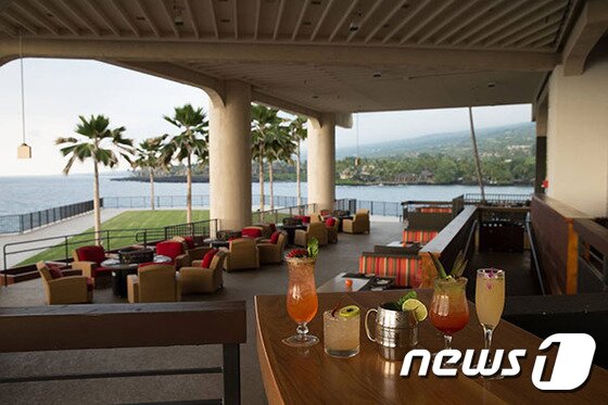 본문 이미지 - 레이즈 온 더 베이에서는 헤엄치는 가오리를 보며 식사를 즐길 수 있다. 사진 제공/ 허니문리조트 ⓒ News1