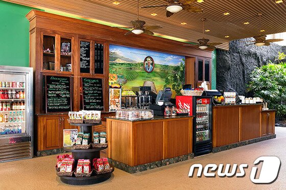 본문 이미지 - 코나 커피는 하와이의 흙과 특수한 기후의 영향을 받아 특별한 향과 맛을 자랑한다. 사진 제공/ 허니문리조트 ⓒ News1