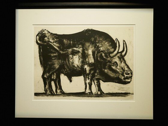 본문 이미지 - 한가람미술관에서 열리는 기획전 '피카소에서 프란시스 베이컨까지'중 피카소 작 '황소'연작 ⓒ News1