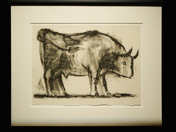 본문 이미지 - 한가람미술관에서 열리는 기획전 '피카소에서 프란시스 베이컨까지'중 피카소 작 '황소'연작 ⓒ News1