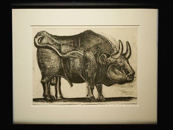 본문 이미지 - 한가람미술관에서 열리는 기획전 '피카소에서 프란시스 베이컨까지'중 피카소 작 '황소'연작 ⓒ News1