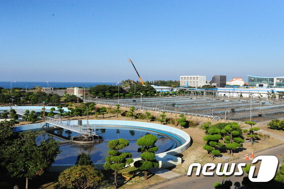 본문 이미지 - 제주하수처리장 전경. ⓒ News1 