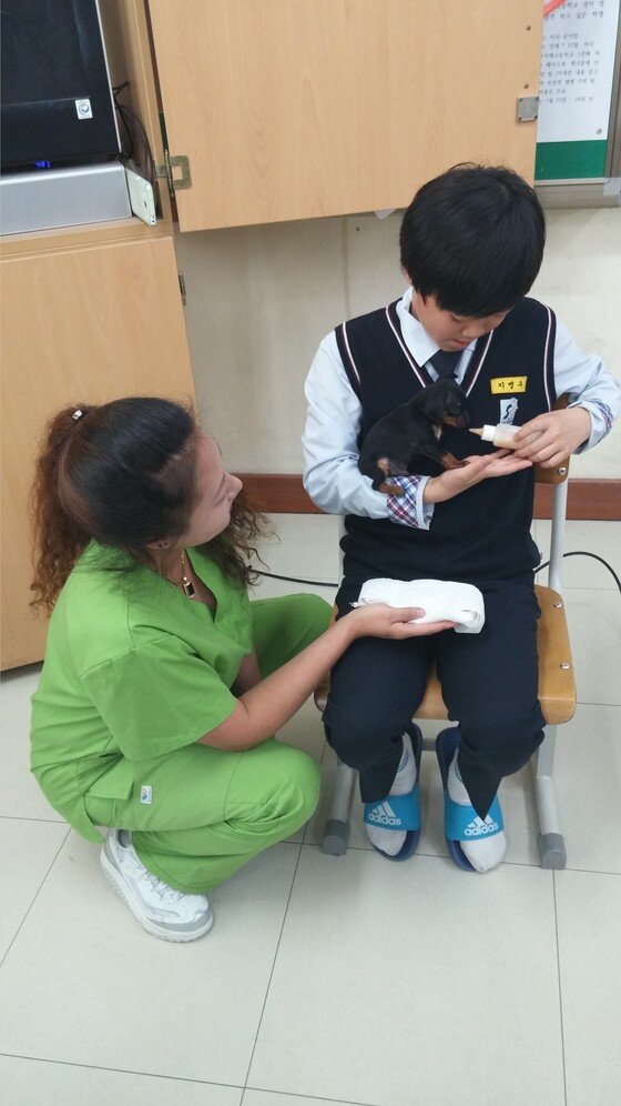 본문 이미지 - 유기견 새 삶이 5일 경기도 수원시 권선구에 위치한 수원상촌중학교에서 동물과의 교감 수업을 진행했다.(사진 '유기견 새 삶' 제공)ⓒ News1