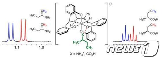 본문 이미지 - 금속 화합물과 이온성 상호작용으로 광학활성을 가진 화합물의 NMR 신호가 분리되는 현상.ⓒ News1