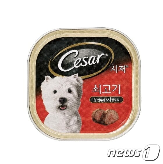 본문 이미지 - 애견사료 전문 브랜드 시저가 출시하고 있는 프리미엄 습식 사료 '시저캔'. ⓒ News1