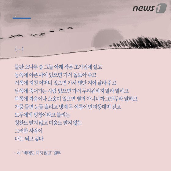 본문 이미지 - ⓒ News1
