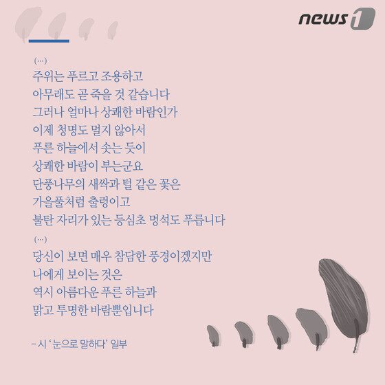 본문 이미지 - ⓒ News1