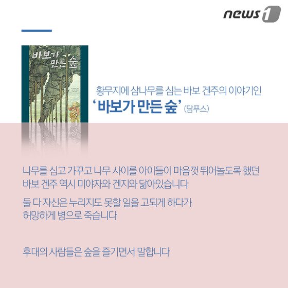 본문 이미지 - ⓒ News1