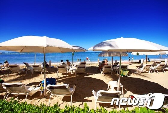 본문 이미지 - 웨스틴 모아나 서프라이더는 하와이 오아후 섬의 와이키키 해변 중심에 자리 잡고 있다. 사진 제공/ 허니문리조트 ⓒ News1 travel