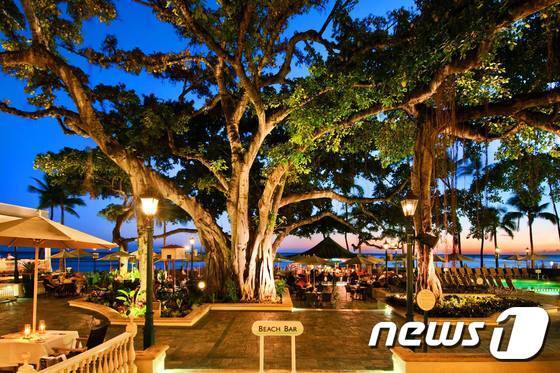 본문 이미지 - 해변에 위치한 레스토랑 ‘비치하우스 앳 더 모아나’ 에서는 최상급 스테이크와 해산물 요리를 즐길 수 있다. 사진 출처/ 웨스틴 모아나 서프라이더 페이스북 ⓒ News1 travel