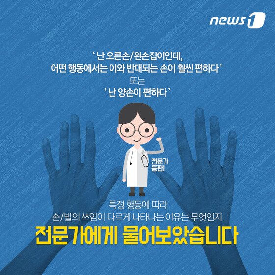 본문 이미지 - ⓒ News1