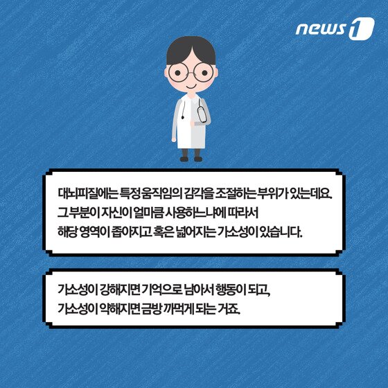 본문 이미지 - ⓒ News1