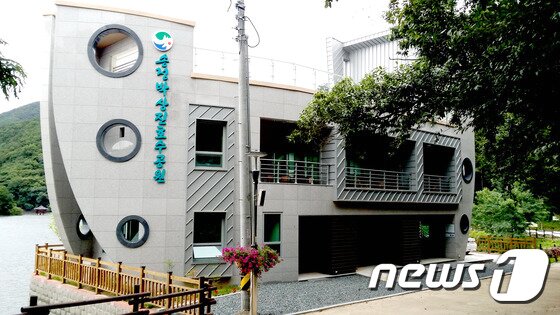 본문 이미지 - 호수공원의 휴게쉼터 '호수공원 커피트리' ⓒ News1