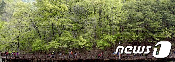 본문 이미지 - 무룡산 자락의 호수공원 모습. ⓒ News1