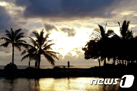 본문 이미지 - 코타키나발루에서는 크리스마스트리를 연상시키는 반딧불의 향연과 세계 최고의 석양을 볼 수 있어 한해를 마무리 짓는 올겨울 여행지로 추천한다. 사진 제공/ 웹투어 ⓒ News1