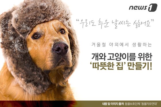 본문 이미지 - ⓒ News1