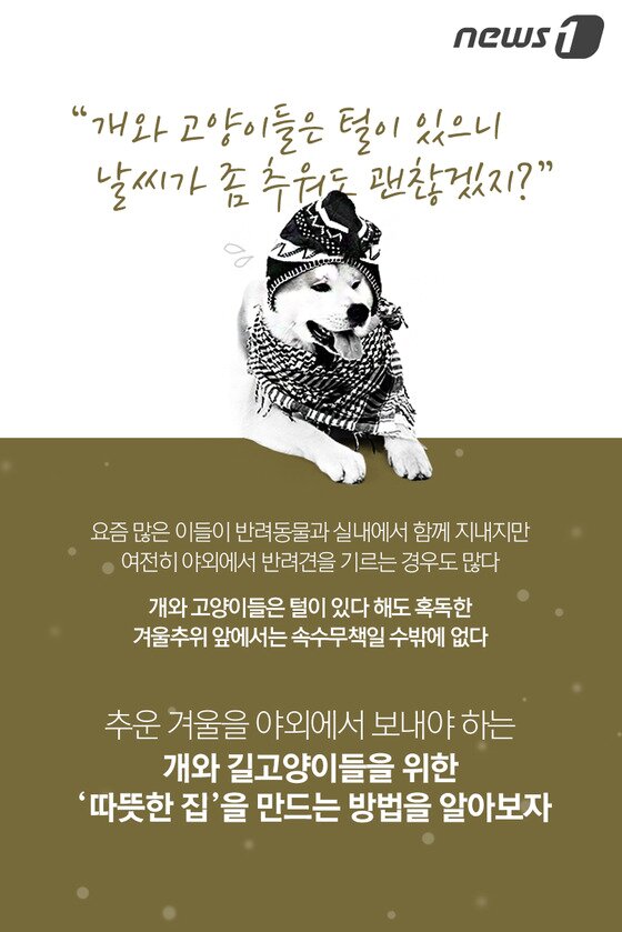 본문 이미지 - ⓒ News1