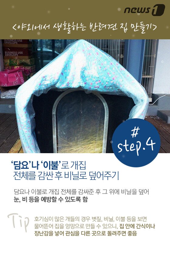 본문 이미지 - ⓒ News1