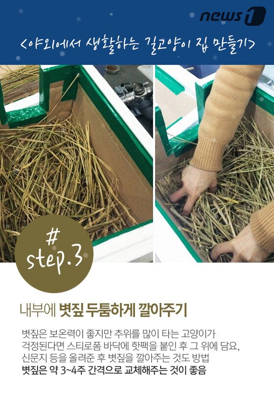 본문 이미지 - ⓒ News1