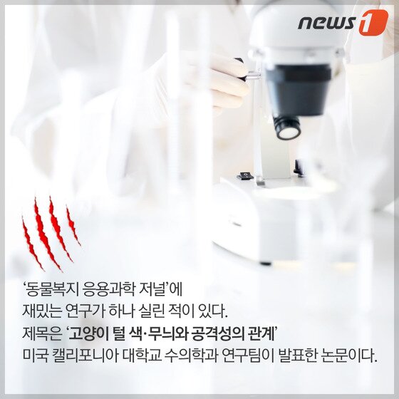 본문 이미지 - ⓒ News1