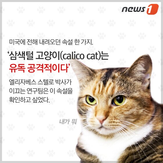 본문 이미지 - ⓒ News1