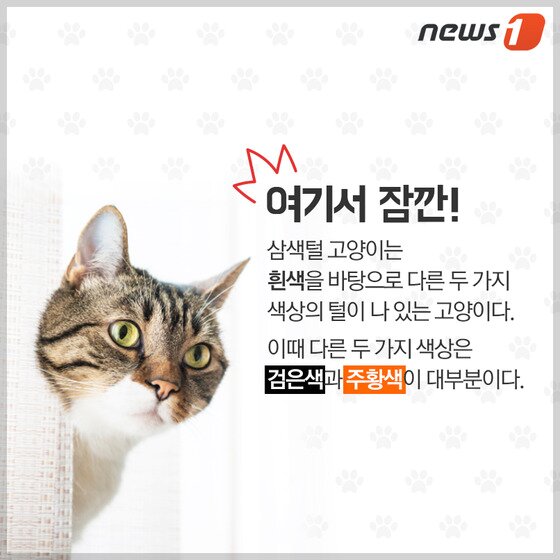 본문 이미지 - ⓒ News1