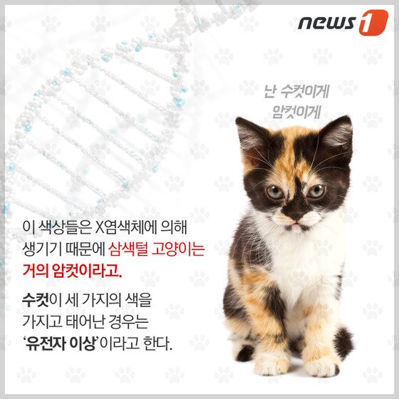 본문 이미지 - ⓒ News1