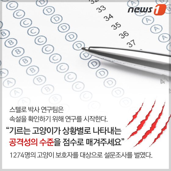 본문 이미지 - ⓒ News1