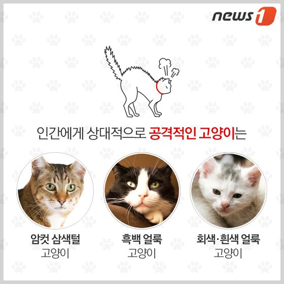 본문 이미지 - ⓒ News1