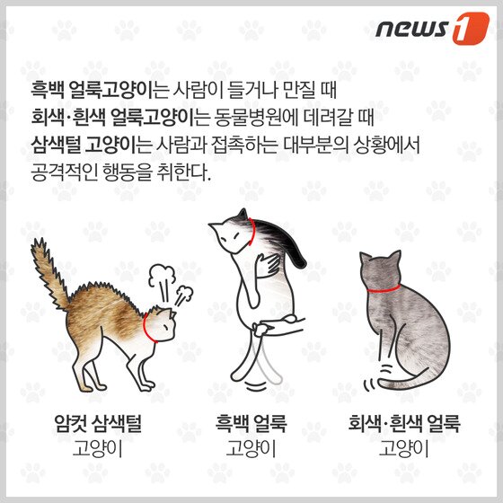 본문 이미지 - ⓒ News1