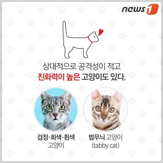 본문 이미지 - ⓒ News1