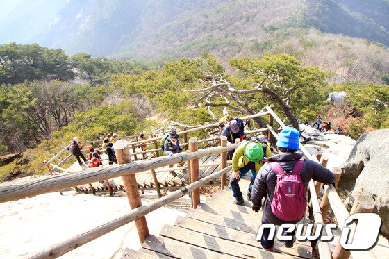 본문 이미지 - 지난 20일 불암산의 정상을 향해 계단을 오르고 있는 등산객들. ⓒ News1 조용식 기자