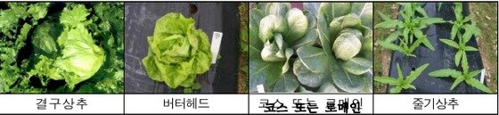 본문 이미지 - ⓒ News1
