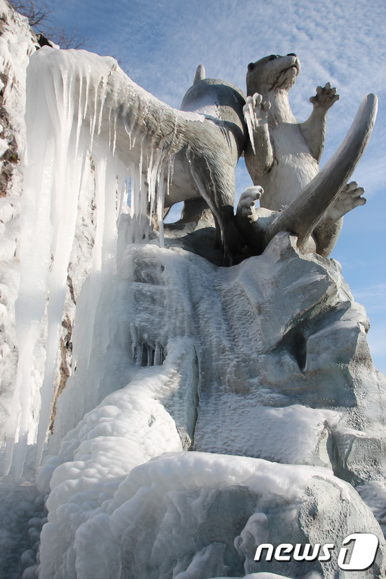 (화천=뉴스1) 정진욱 기자 = 2016년 1월 9일부터 23일간 열리는 '2016 얼음나라 화천, 산천어축제'를 앞두고 축제장앞 수달 조형물에 얼음 고드름이 만들어 졌다. 화천군 …