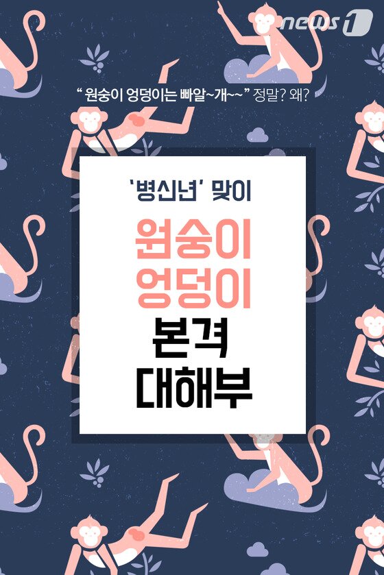 본문 이미지 - ⓒ News1