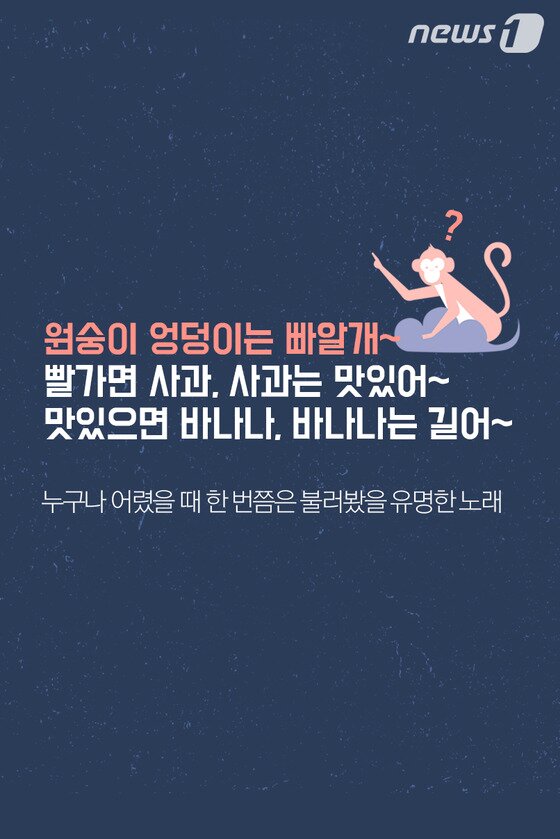 본문 이미지 - ⓒ News1